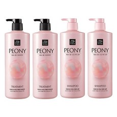 미쟝센 피오니향 샴푸 1000ML 2개+트리트먼트 1000ML 2개, 1개