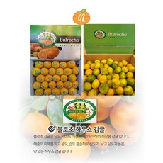 불로초