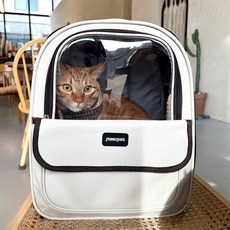 대형견셀프백팩 TOP01