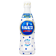 아사히 CALPIS 칼피스 유산균 원액 470ml x 15개