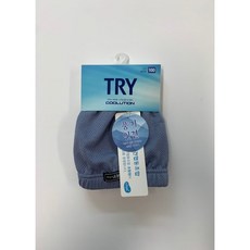 트라이인견브리프