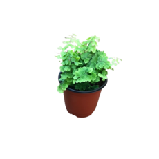 5e7b743e66e1427d0546a4398500f3614fa533e178ce20957cfc583be658.png
