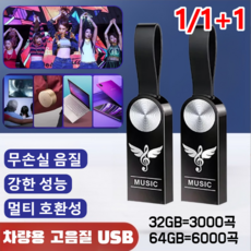 1/1+1 차량용 고음질 USB 한국 노래 고성능 초소형 외장하드 음악 방수, 64GB(약 5000곡), (1개)USB(어댑터&pp 봉지)