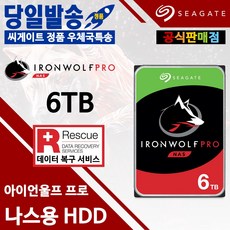 시게이트6tb