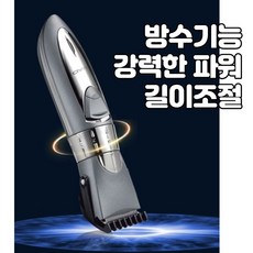 아가이발