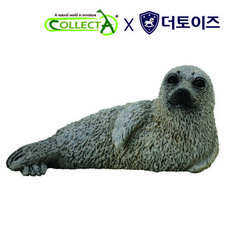 컬렉타돌묵상어