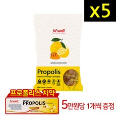 지하이웰