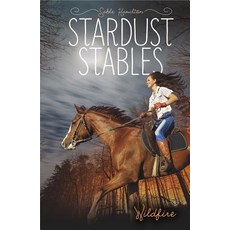 Wildfire Paperback, Stone Arch Books