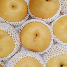 황금열매 전남 나주 가정용 흠집배 8kg 특대과 (7-10과), 1개