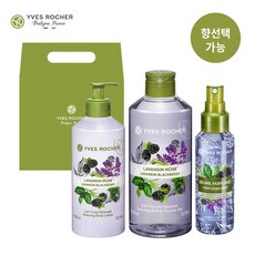 이브로쉐바디미스트