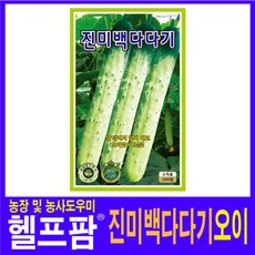 헬프팜 진미백다다기오이 50립 씨앗 종자 KS종묘, 1개