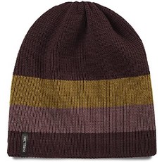 아크테릭스비니