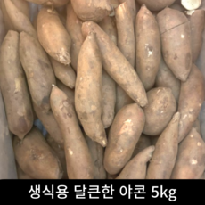 [산지직송] 야콘 5KG내외 특등급 생식용 후숙하면 더 달콤한 갈라집 부러짐 흠집있음 성인병 예방 변비에 효과적 다이어트 건강한 간식, 1박스, 5kg