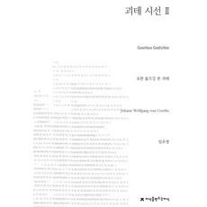 괴테시집