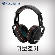 돌출귀교정기