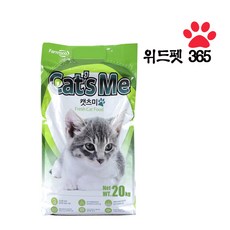 캣츠미샹들리에