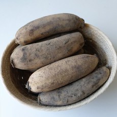 대구 반야월 흙연근 햇연근 우엉 햇우엉 당일수확발송, 1박스, 정품 연근 5kg
