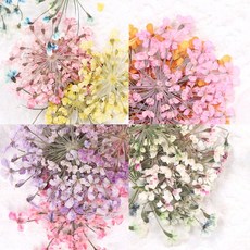 생화네일-추천-상품