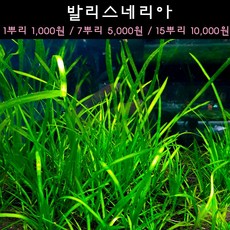 아쿠아리움여수