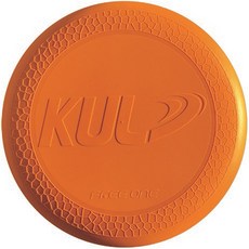 플라잉썬디스크