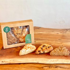 비건스콘클래스