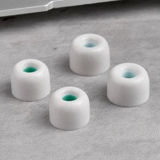 소니wf1000xm4이어캡