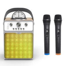 넥스트 BT50AMP 휴대용 블루투스 노래방 스피커