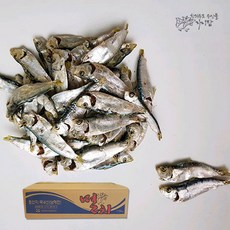 자이담 남해안 참 디포리(밴댕이) 1.5kg, 1개, 기타