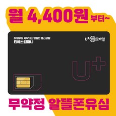 u+알뜰모바일유심