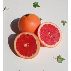 이스라엘 레드자몽 대과 10과 20과 3.7kg 7.4kg, 2. 레드자몽 대과(370g 내외)
