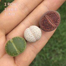 4ae38a5b91f6d23c970da8b15dd7bbba406a1c67fa9043ca053da7d7e98d.jpeg