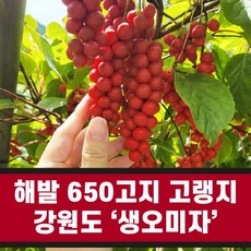 문경액티비티