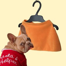깔끔한 강아지 반려견 옷장 옷걸이 굴곡 플라스틱 22cm, 그레이, 1개
