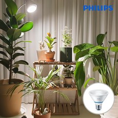 필립스 LED 식물등 식물 LED 전구 조명 램프 PAR30 10W 생장등 성장등, 백색, 1개