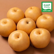 [농부들의수확]GAP인증 23년 나주 햇배 가정용 5kg 10-12과, 1개