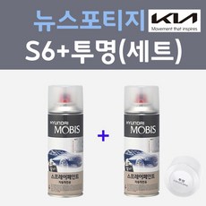 칼라스테인스프레이페인트팜