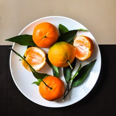e7b3e80430a5719c09d4639efaf830b88b0832ed9f49bb17131f902e7027.jpg