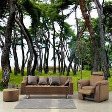 잘떨어지는벽지