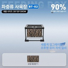 파충류 케이지 아크릴사육장 온도 은신처 키우기 곤충 조절, 1개, BT02 (20x20x20CM) [시뮬레이션 배경 보드