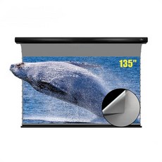 비비드스톰롤러블스크린