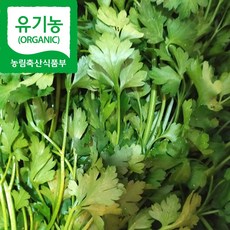 산지직송 유기농 밭 미나리 세척 미나리, 500g, 1개