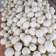 천안 수신 메론 3-4과 5kg 6.5kg 8kg, 5kg(3~4과)
