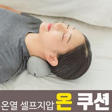 밸런스온허리쿠션