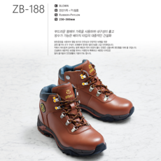 zb-81