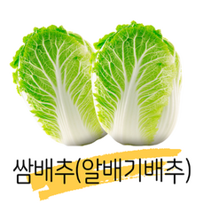 [정가네야채가게] 쌈배추 알배기배추 알배기 알배추(특) 4포기