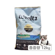 웰츠 전연령 캣 기능성 사료, 12kg, 1개