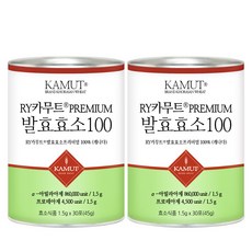 푸른들판 카무트 효소 분말 100 프리미엄 캐나다 정품 호라산밀 발효 곡물 효소 가루, 2박스, 45g
