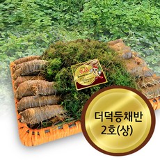 더덕 등채반 2호(1kg), 1개