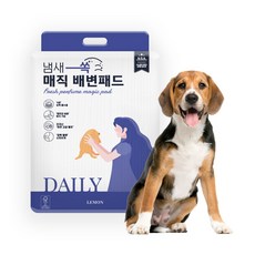 펫민 냄새 쏙 매직 배변패드 100매, 1팩, 100개입, 50 x 40 cm x 100매 x 1팩 - 1팩배변패드