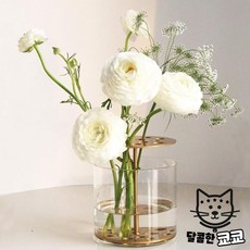 프리츠한센화병